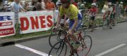 MJV 2006