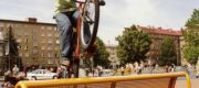 MJV 2004